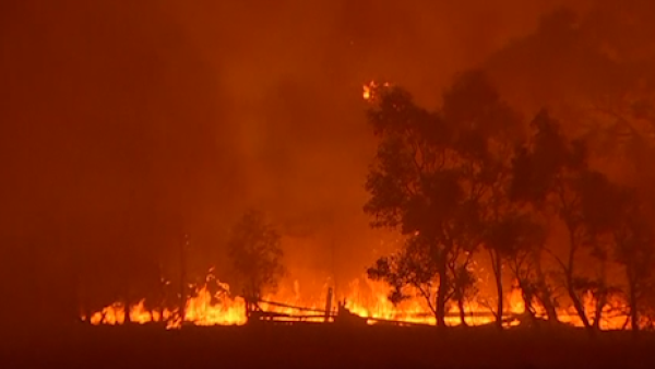 山火逼近，澳大利亚首都进入紧急状态