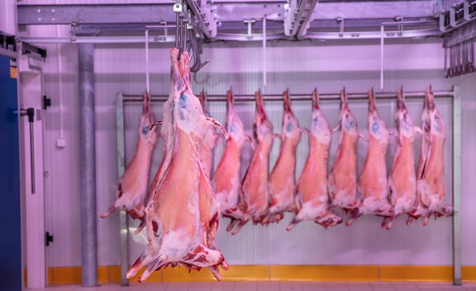 华商储备中心：1万吨中央储备冻猪肉将于2月7日投放