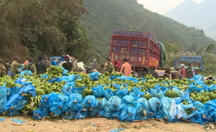 战疫者丨贫困户捐22吨香蕉，摩托大军装车