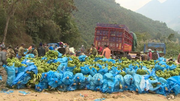 战疫者丨贫困户捐22吨香蕉，摩托大军装车