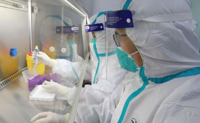 最高两千万，上海资助新冠病毒诊断与治疗创新品种研发产业化