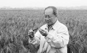 工程院院士刘大钧教授逝世，从事小麦遗传育种研究60余年