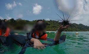 中国游客非法潜水捞海胆和巨蚌？泰媒：有待调查，防恶意抹黑