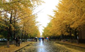 冷空气南下将带来降雨和大幅降温，南方高温今起减弱