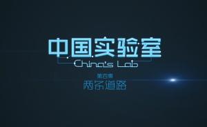 澎湃新闻原创纪录片《中国实验室》第四集：两条道路