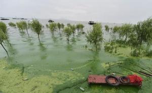 安徽7河达到或超过历史最高水位，河道堤防现险情600余处
