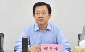 苏荣女婿程丹峰受审认罪：岳父被查后行贿者要求退钱