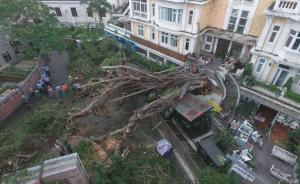 直击｜强台风致鼓浪屿受损严重景区关闭渡轮停航，恢复需两月