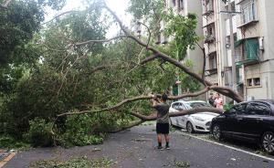 厦门居民均由政府投保自然灾害公众责任险，因台风受灾可获赔