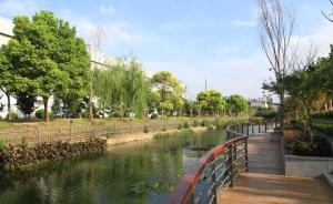 上海攻坚56条段河道，所有中小河道到明年底基本消除黑臭