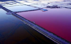 中国死海运城盐湖变“鸳鸯锅”之谜解开：一种盐藻产生血红素