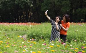 国庆上海各大公园景区主题活动公布：赏花听曲看魔术……