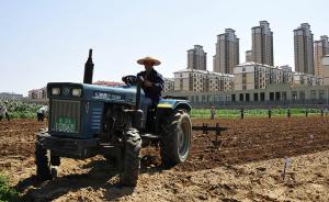 在上海当“农民”也要持证上岗，看看哪些人能当新型农民
