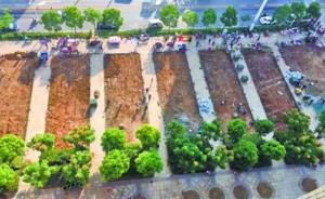 武汉一广场国庆期间铲百米绿地建停车场，城管称已停工整改