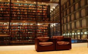 嗜书而睡的小书虫们：耶鲁大学图书馆小记