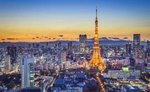 东京都市圈的发展与治理 