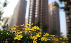 上海首次召开调研协商座谈会，建议上海各区每年新增人才公寓