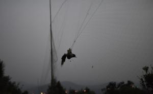 直播录像丨“清网在行动”：志愿者在嘉兴附近山区拆除捕鸟网