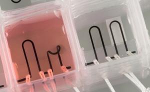 美国哈佛大学研究组用六种“油墨”3D打印出心脏芯片