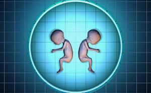 “转胎丸”能改变胎儿性别？当心致畸