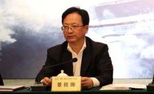 中宣部副部长景俊海：《湄公河行动》有望成为中国电影转折点