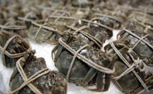 香港：涉二噁英超标大闸蟹多数被低价出售，已回收890公斤