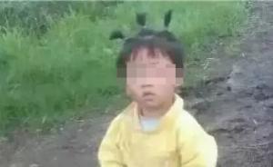 河南确山4岁女童失踪案告破：已遇害，嫌犯系邻居17岁养子