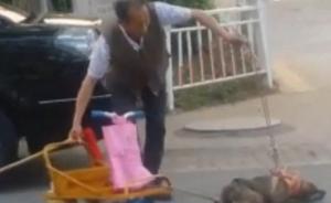 一“虐狗”视频网上流传，老人称打非虐待而是训练狗拉车