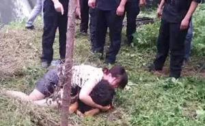 藏獒咬伤多人被河南警方击毙，伤者被诉煽动群众寻衅滋事