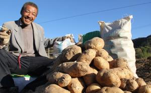 山西岚县：打造全国马铃薯主粮化第一县，标准化种植三十万亩