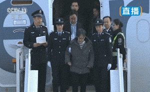 视频｜杨秀珠回国自首：头发灰白，步履蹒跚，在机场被批捕