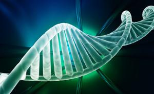 被忽略的古DNA研究：曹操墓为何难有定论