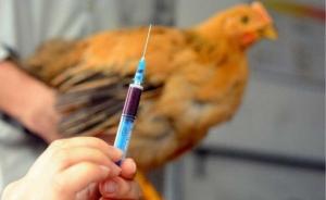 湖南一农妇感染H5N6死亡，发病前有与病死禽密切接触史
