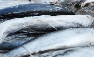 北京多家超市停售活鱼原因不明，工作人员建议近期吃冷冻海鱼