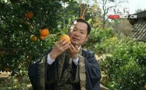 视频｜湖南湘西一副州长穿古装担任网络主播，帮果农卖脐橙