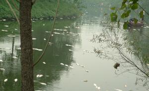 陕西7人夜投60瓶农药入河1300公斤鱼死亡，被移送起诉