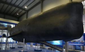 国内最大鲸鱼标本制成14年来首次大修：除尘补裂、上色整型