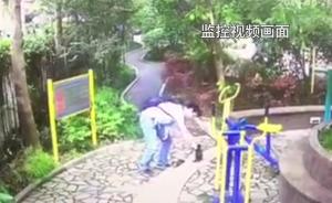 视频｜网传上海一男子小区内虐猫，现场视频流出引发争议
