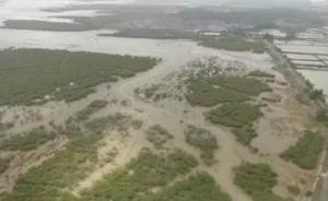 广西合浦：沿海采石20余年毁生态，环保、国土局长被停职