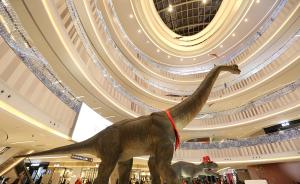 城事｜上海商场惊现恐龙，苏州打印3D小镇，京俩老告儿腾房