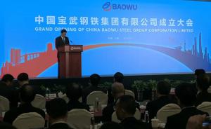 中国宝武钢铁集团在上海成立，将向管资本转型