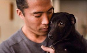 美籍华裔富商玉林救狗遭外媒质疑作秀：被指三分之二犬只病死