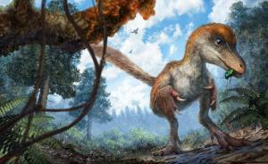 人类首次在琥珀中发现恐龙化石，“是一具相对新鲜的遗骸”