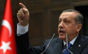 土耳其总统修宪扩权提案提交国会审批，一旦通过明年公投
