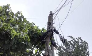 河南一7岁男童村内电线杆旁死亡，官方：正调查是否被电死