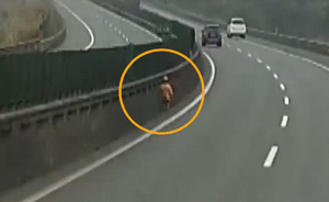 视频｜湖南湘西4岁男童误上高速，巡逻交警帮其找到母亲
