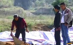视频丨南宁村庄上百祖坟被一夜铲平