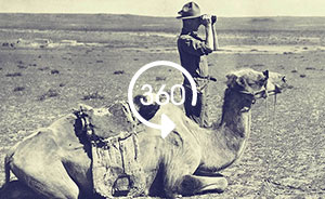 全景视频｜再现一百年前的考古探险：在戈壁沙漠发掘恐龙化石