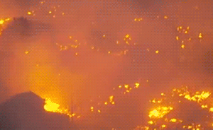 视频｜日本新潟大火现场：浓烟滚滚，房屋变焦土居民有家难回
