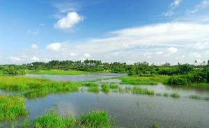 国家海洋局：用4年修复恢复滨海湿地总面积至少8500公顷